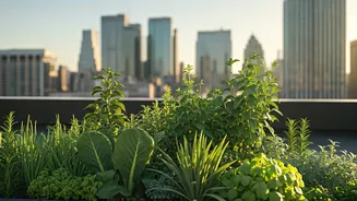 Urban Farming Recruits Swap Concrete Offices For Rooftop Sanctuaries