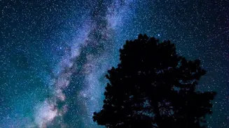 How High-Altitude Destinations In Himachal Pradesh Promote Dark-Sky Conservation Through Astrotourism