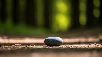 The Essence of Self-Control: Exploring Bhagavad Gita's Wisdom