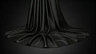 Nimrat Kaur's Timeless Style: A Black Sari Story