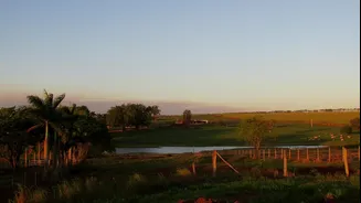 Como Ibitinga tornou-se a"Capital Nacional do Bordado"?