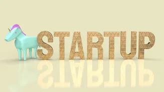 Startups got 3.8 times funding from private sector than from govt schemes: DPIIT