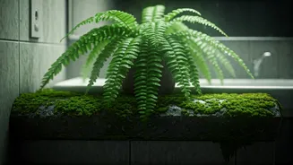 Ferns Turn Humidity Into Home Decor Magic