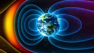 The Newly Seen Solar Plasma Wave Brings Fresh Clues About Energy Moving Upward