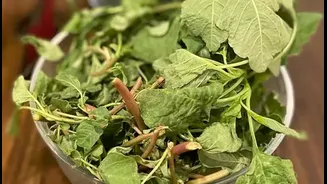 Amaranth Leaves: Nutritional Benefits & Recipes You’ll Love