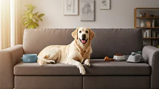 Indian Homes Are Going Pet First