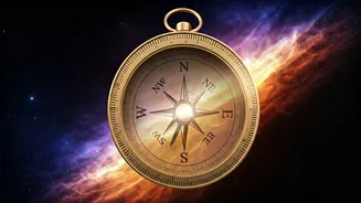 Your Daily Career Path Unveiled