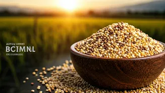 Millets Are Having A Timely Return Across India