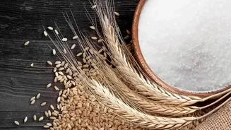 Why Vegetarian Gym Enthusiasts Must Learn Whole Grain And Pulse Synergy