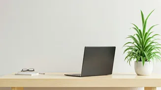 Search Trends Show Work Culture Needs A Reset