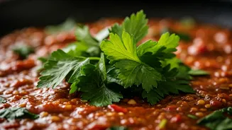 5 African Culinary Gems Where Parsley Steals the Show