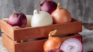 What to Know About Onion Storage Before Buying in Bulk