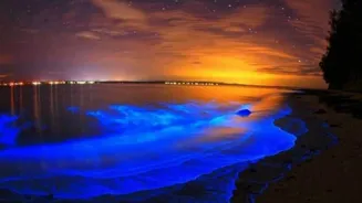 Related Stories banner