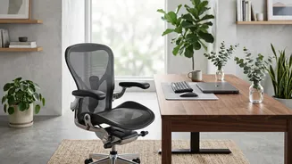 Long Desk Hours: The Difference Between Stiffness And Joint Disease