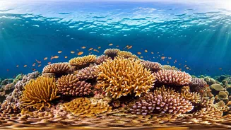 Gili Islands: Your Ultimate Guide for an Indonesian Paradise