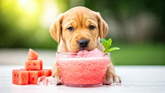 Give Sweaty Puppies Premium Treats Via Watermelon Ice Shakes