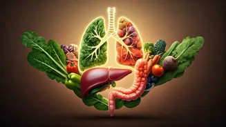 Fueling Your Body's Engines: Essential Foods for Lungs, Liver, Gut, and Eyes