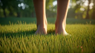 De Stress Naturally Using Barefoot Grounded Walking In Indian Parks