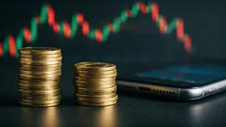 Smart Investment: Navigating Indian Market Strategies