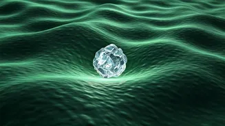 Unveiling Magnesium Deficiency: Causes, Symptoms, and Expert-Recommended Treatments