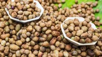 Why everyone is talking about Bambara nuts