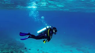 Plan your autumn Andaman trip: Crystal clear waters, scuba diving, and Havelock island hopping