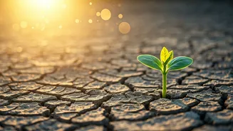 Invest Young, Relax Later? Here's Why