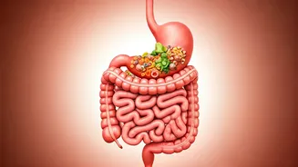 Avoid These Common Gut Health Pitfalls