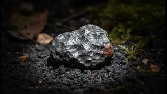Fresh Meteorites Need Protection from Rust and Terrestrial Contamination