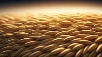 Quaker Oats: Enhancing Protein and Fibre Focus for Health-Conscious Consumers