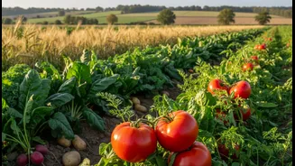 Links between diversified farming and lower nutrient deficiencies: why Crop Diversity And Hidden Hunger matters now