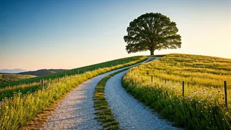 Slow And Steady Wins The Fitness Race