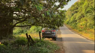 Festive Road Trips in India: October–November Guide