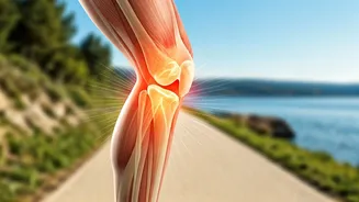 Move to Relieve Knee Osteoarthritis: Aerobic Exercise Emerges as Top Solution, Study Confirms