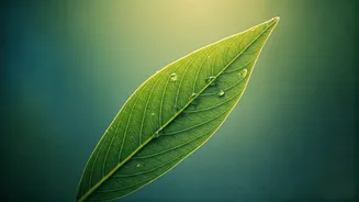 Taming the Flames: Your Comprehensive Guide to Reducing Body Inflammation