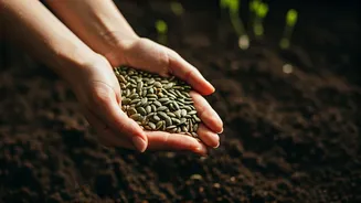 Finnish Wedding Traditions: A Deep Dive into the Enchanting Seed-Sowing Ritual