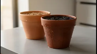 A Wet Pot Can Weigh Far More than It Did in the Shop