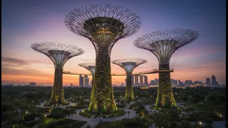 Twelve Supertrees Rise Above Gardens by the Bay’s Marina Bay Landscape