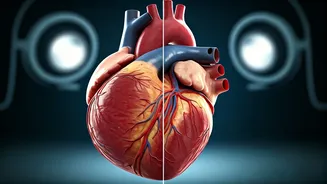 Understanding Good vs. Bad Cholesterol: Your Heart's Guide