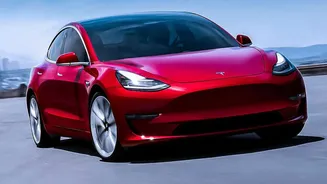 What the Tesla Gurugram Video Really Shows About AI Perception