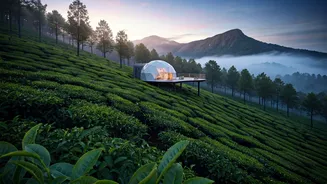 Book Secluded Munnar Geodesic Domes For Ultimate Romantic Getaways