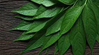 A Regional Green With Serious Culinary Character