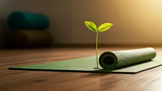 Why Older Gen Z Floods Healthy Ageing Yoga Signups