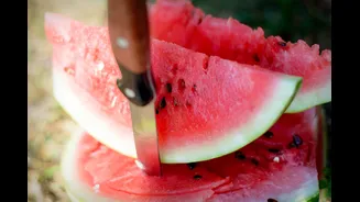 Heatwave Effects: Why Appetite Drops and Foods to Stay Hydrated