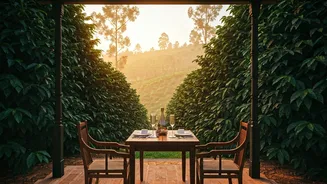 Discounted Plantation Stays Make Coorg Honeymoons Smarter