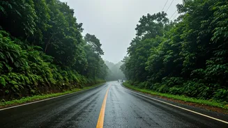 Essential Tips For Lonavala-Mahabaleshwar Drive This Week