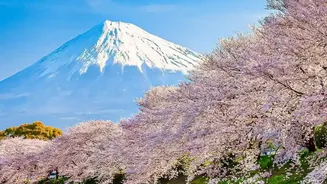 What Indian Travellers Should Know About IRCTC's ₹3.46 Lakh Japan Holiday
