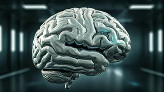 5 Brain Exercises for Sharper Cognitive Health