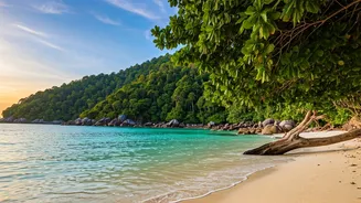 Andaman Honeymoons Are Intimate, Lush And Different