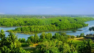 Why Sundarbans Mangrove Surveys Benefit From Precision Satellite Imaging For Carbon Audits